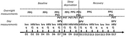 Sleep Deprivation Deteriorates Heart Rate Variability and Photoplethysmography